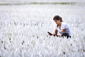 EE.UU. honra a los muertos por covid con 600.000 banderas blancas en Washington