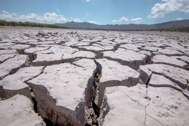 Fotografía de archivo donde se observan las afectaciones por la sequía en la comunidad de Rincón Colorado, en el municipio de General Cepeda, en Coahuila, México.
