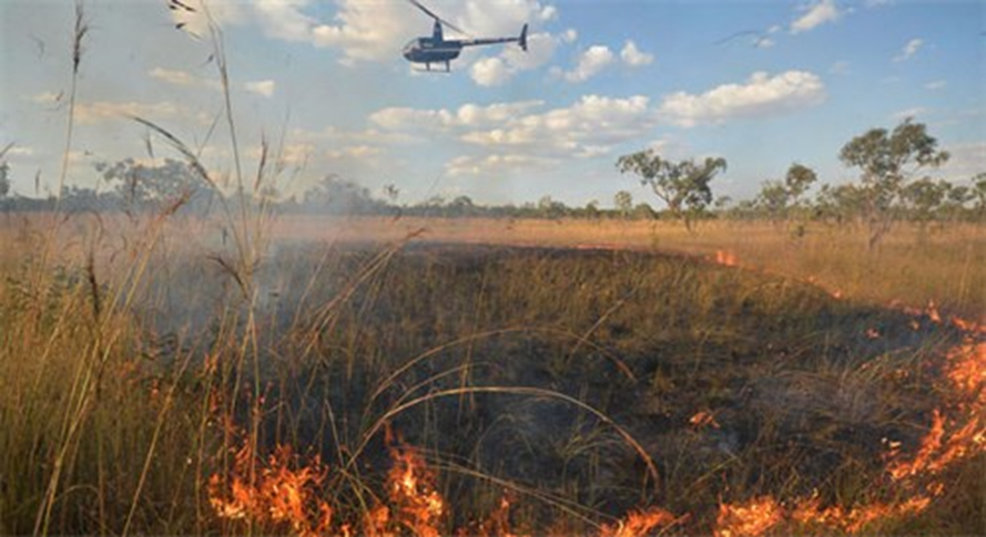 ¿Qué impacto tiene el fuego controlado en el Medio Ambiente?