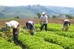 IAD dice política estatal fortalece y recupera la Agropecuaria 