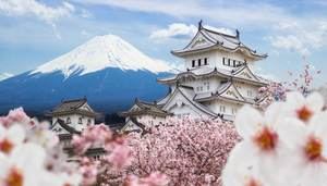 La llegada de turistas a Japón cayó un 93 % en marzo hasta mí­nimo en 31 años