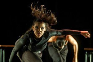 EDANCO 2025 reúne a más de nueve países, 15 compañías y más de 50 artistas de la escena contemporánea.
