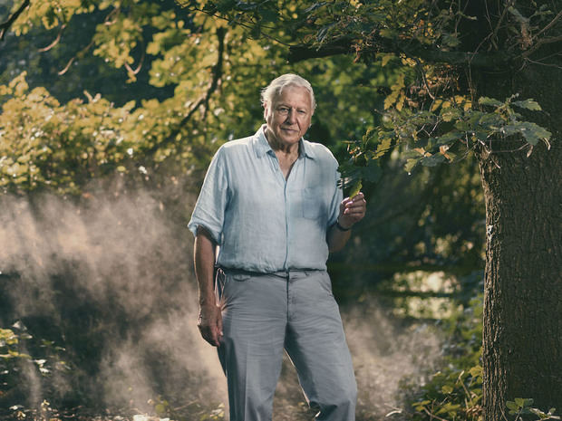 David Attenborough.