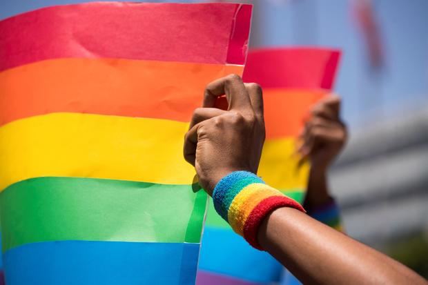 Comunidad LGBTI dominicana exige ante el Congreso rectificar el Código Penal