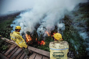 Ambientalistas piden un enfoque polí­tico a los incendios y el cambio climático