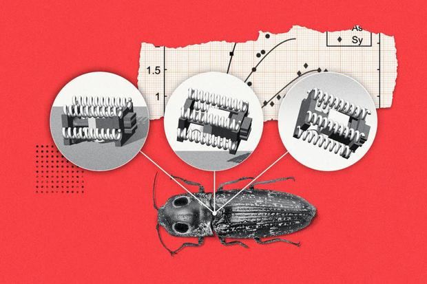 El profesor de ciencias mecánicas e ingeniería Sameh Tawfick ha dirigido un estudio en el que se presentan robots del tamaño de un escarabajo. Crédito: Michael Vincent. Imagen facilitada por la Universidad de Illinois en Urbana-Champaign.