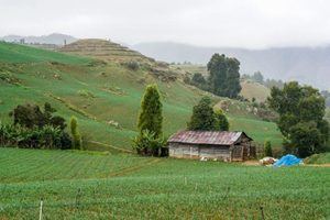 Promoverán potencial agrícola y gastronómico en Festival de la Cosecha Constanza 2022