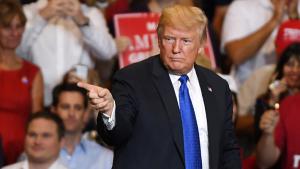 Trump defiende su proteccionismo en la campaña para las legislativas