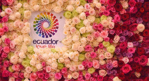 Unas 15.000 toneladas de flores saldrán desde Quito por San Valentín
 