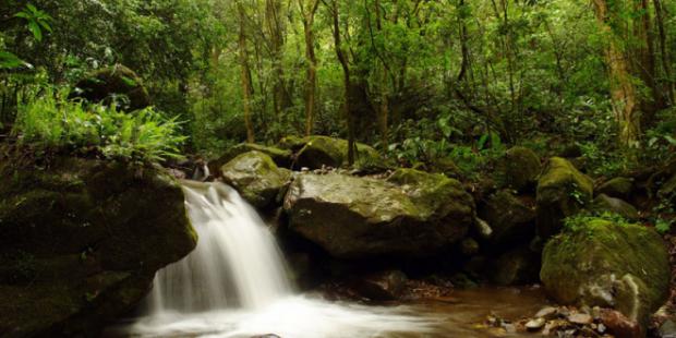 El Foro Mundial del Agua llega a la mayor reserva de ese recurso en el mundo