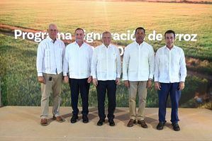 Banreservas destina RD$12,000 millones para financiar producción de arroz 2026-2027