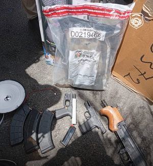 Aduanas y DNCD desmantelan contrabando de armas y drogas en el puerto de Haina