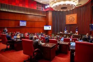 Senado de la República aprueba en primera lectura reformas a Ley Orgánica de la Policía Nacional
