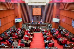 El Senado aprueba la creación de la Alerta Nacional para buscar personas desaparecidas en RD