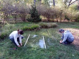 Un estudio revelará los efectos del cambio climático en zonas verdes urbanas