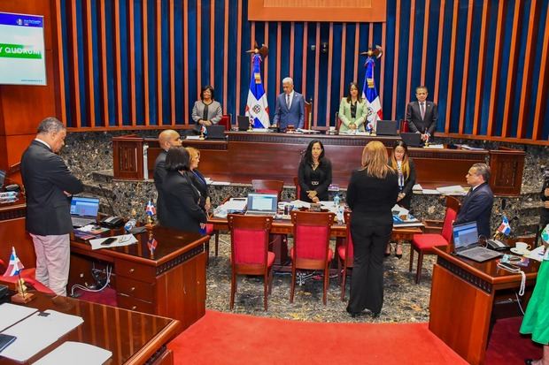 Senado aprueba en primera lectura proyecto de ley Código Penal.