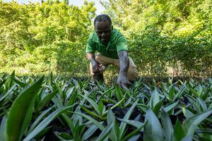 Grupo Piñero invirtió 2.6 millones en sostenibilidad para 2024