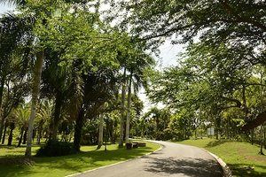 Artes y flora dominicanos se conjugan en festival cultural Santo Domingo Pop 