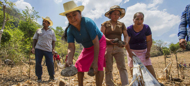 Mujeres que trabajan en un programa de conservación del suelo del Programa Mundial de Alimentos en El Salvador