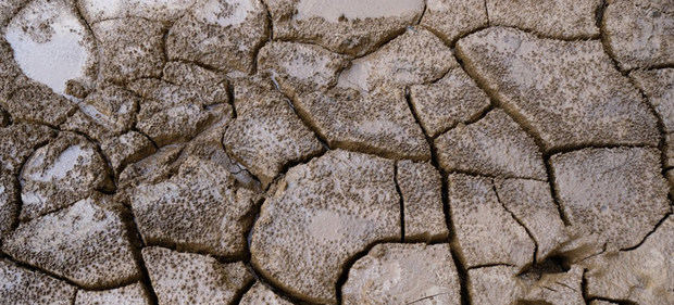 Esta microcuenca en el Corredor Seco de Honduras era mucho más pequeña hace años. El Corredor Seco no es un desierto, pero sufre frecuentes sequías, a veces muy graves. Gestionar el agua de la lluvia es importante y los bosques contribuyen a ello.