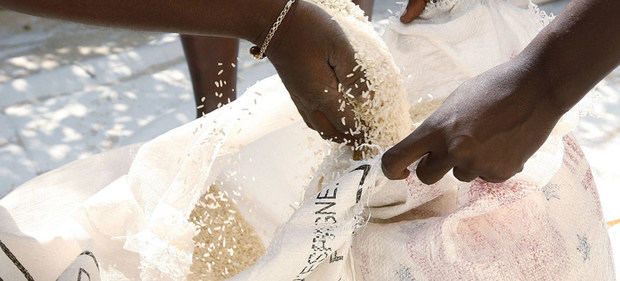 El PMA distribuye arroz en Haiti.