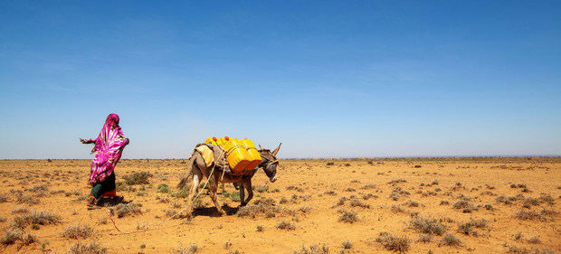 El noroeste de Somalia sufre sequías recurrentes. Las mujeres, encargadas de acarrear el agua, tienen que recorrer cada vez más territorios para conseguirla, exponiéndose a mayores peligros y arriesgando su seguridad.