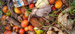 El mundo desperdicia el 17% de los alimentos que produce mientras 811 millones de personas sufren hambre