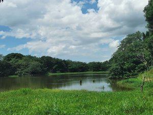 Inician en San Antonio de Guerra defensa de los recursos naturales