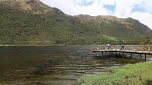 Descubren cuatro nuevas especies de insectos acuáticos en Ecuador