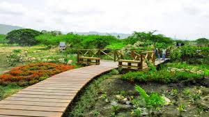 Jardín Botánico Eugenio de Jesús Marcano.