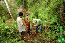 Selva del Perú.