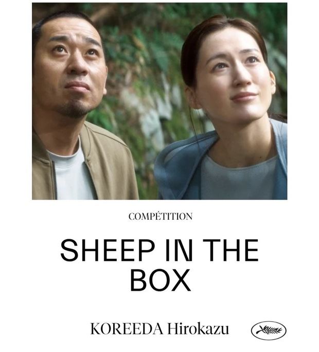 Sheep in teh box.