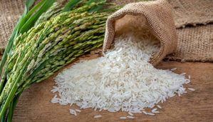 R.Dominicana estudia los pasos a dar ante la apertura del mercado de arroz