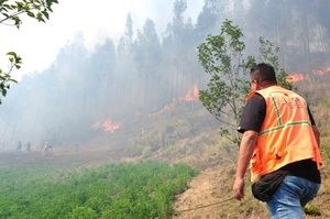 Bomberos trabajan en la extinción de un incendio forestal en Constanza