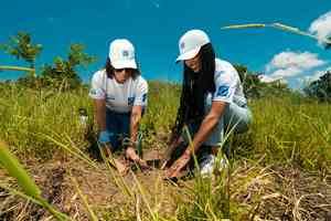 En la segunda jornada de reforestación del año, unos 100 voluntarios
del Grupo Popular participaron de la siembra.