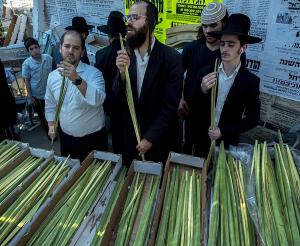 Todo a punto en Israel para celebrar Sucot, la fiesta judía de la alegría