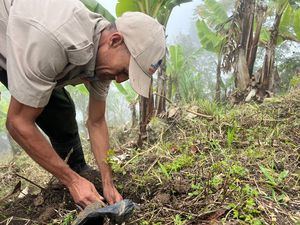 Organizaciones lanzan jornadas de reforestación en el Lago Enriquillo para promover la conservación ambiental