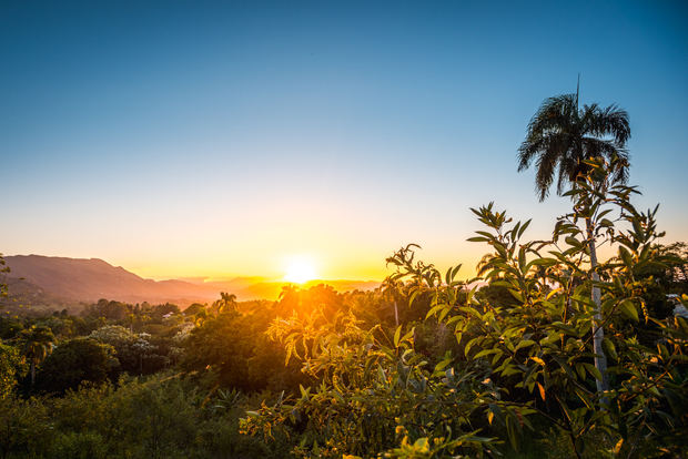 Parque Nacional José del Carmen Ramírez.