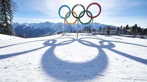 Xi declara inaugurados los Juegos Olí­mpicos de Invierno de Pekí­n