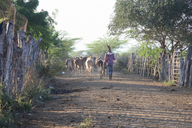 Colonia Carbonera, Montecristi