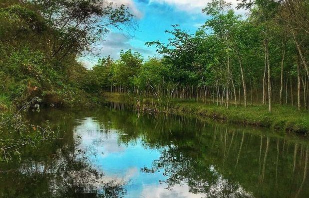 Crean una reserva natural en los humedales de Laguna Prieta.