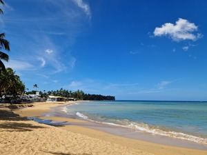 AHETSA y Clúster Turístico exigen solución urgente al suministro eléctrico en Las Terrenas y El Limón