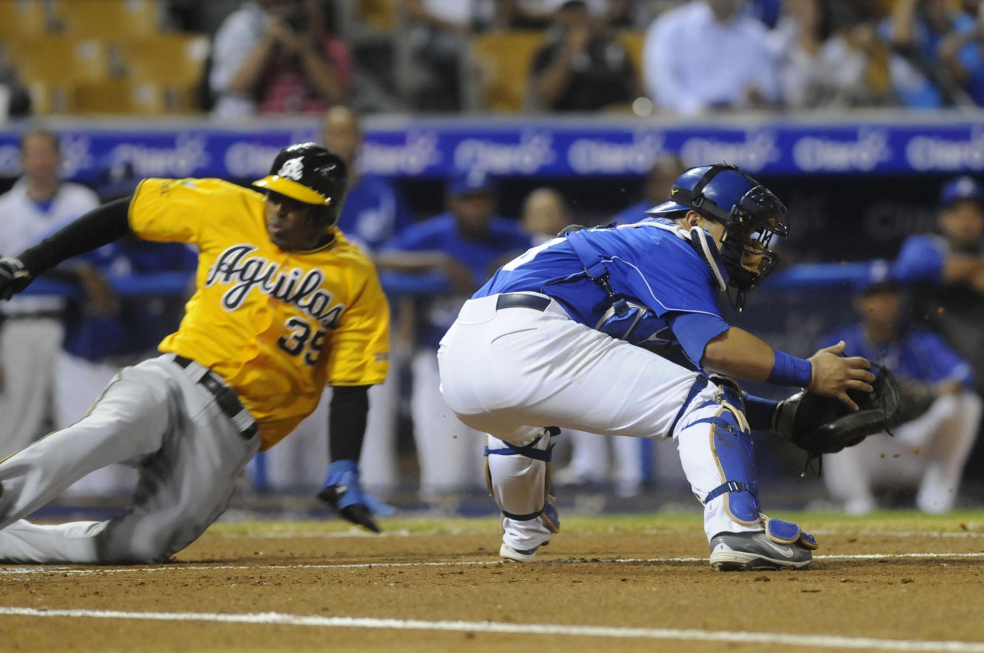 Apunte - Aguilas y Licey celebran clasificación para el 