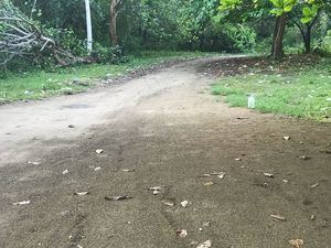 Realizan operativo de limpieza en playa Punta Bergantín