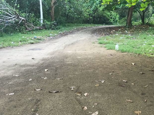 Operativo de limpieza en playa Punta Bergantín