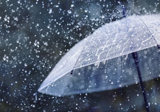 Lluvias.