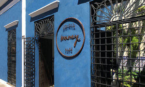 Mamey, un espacio cultural que conjuga Galería, librería y café