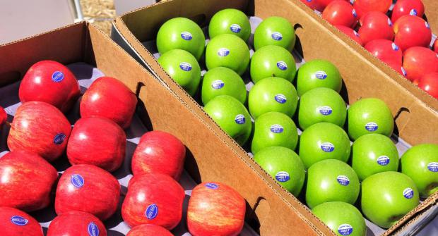 Las frutas tendrán un impuesto de 15%