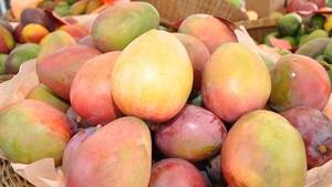 Concluye Expo Mago 2017 augurando buenos mercados de esta fruta