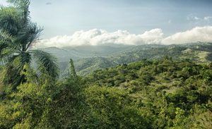 R.Dominicana y Haití­ firman declaración conjunta para proteger medioambiente